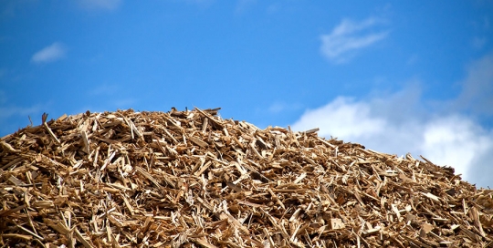 wood biomass portfolio